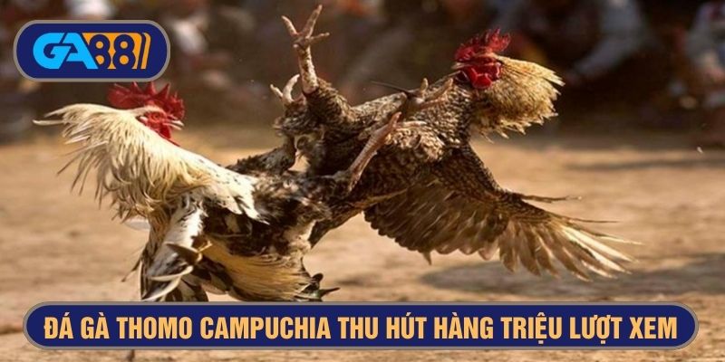 Đá gà mạng Campuchia